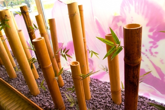 Eingang Niederlassung Nimwegen, Niederlande. (5)